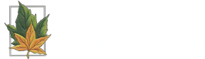 Professional Design Associates Logo